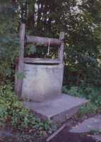 pusch16.jpg 37 kb
