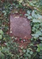 pusch26.jpg 48 kb