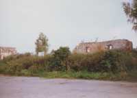 pusch31.jpg 24 kb